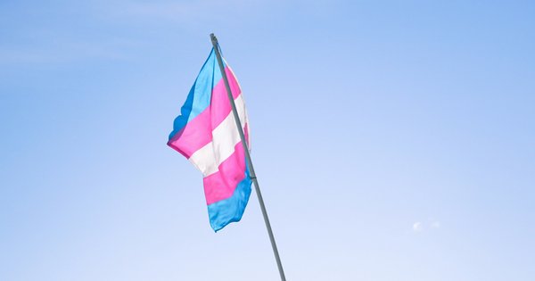 A transgender pride flag in pink, white and light blue waving on a pole against a clear blue sky