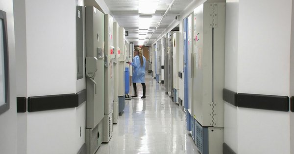 An empty hospital corridor with patient rooms on either side