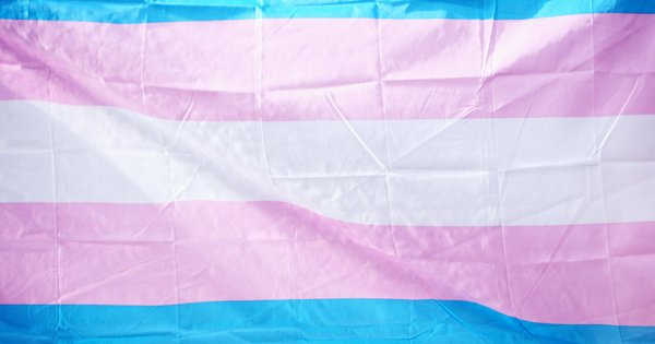 A transgender pride flag, with light blue, pink and white stripes, lit by sunlight