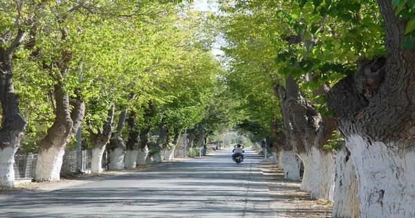 A narrow whitewashed alley in the Greek village of Eresos