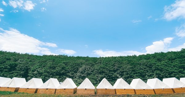 A tent set up at a wooded scout camp