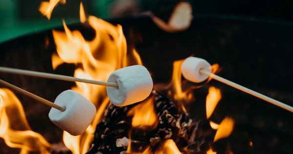 Marshmallows on skewers toasting over the glow of a fire pit at night