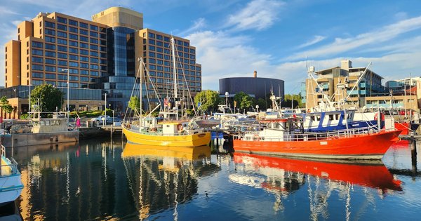 Fishing boats moored at the Hobart waterfront in Tasmania on a sunny day