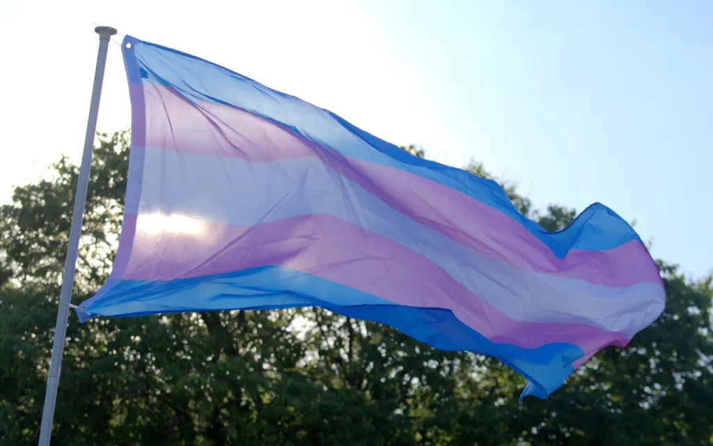 Ohio families request emergency funds to flee state after trans care ban passed