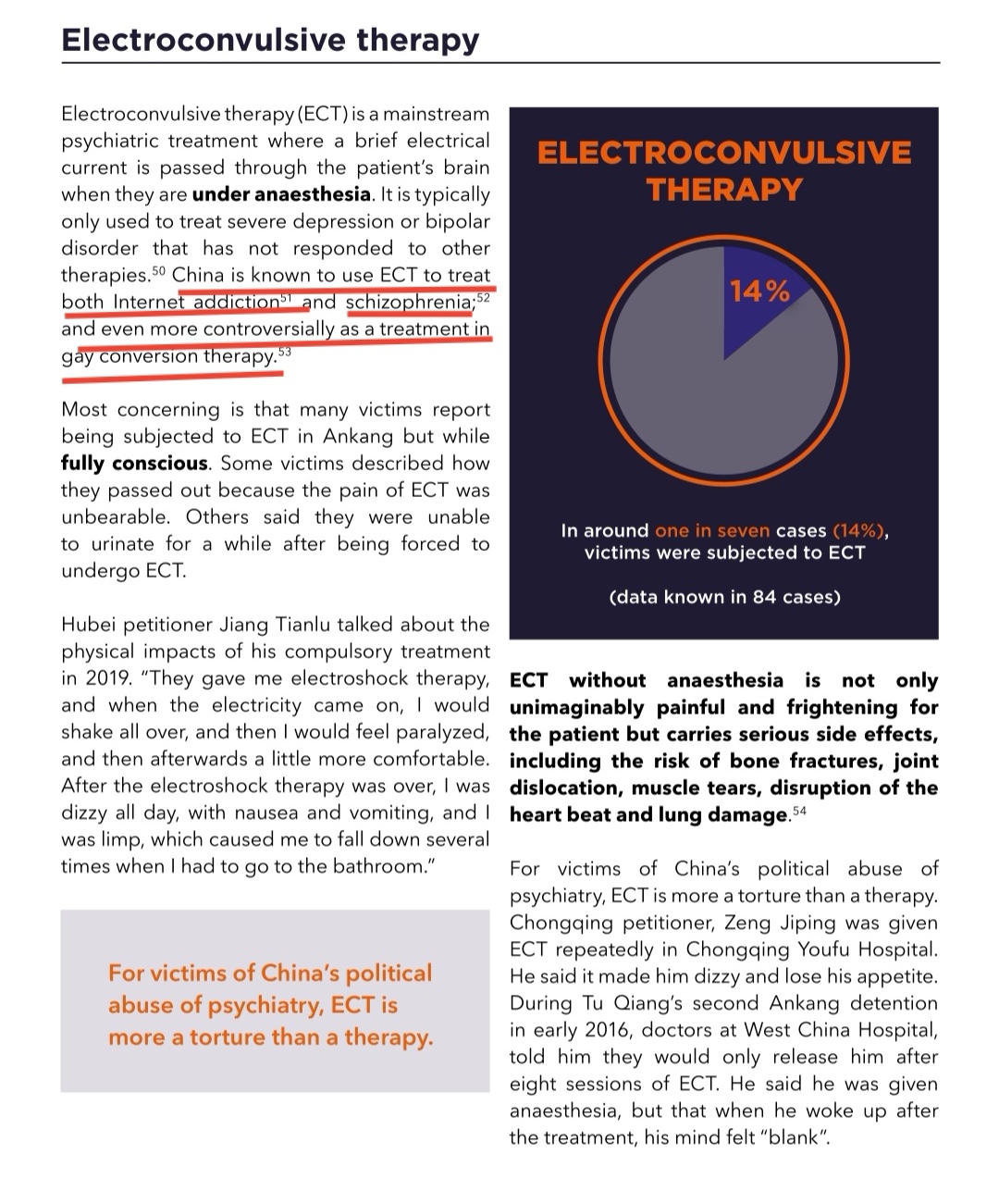 Electroconvulsive Therapy Report China 