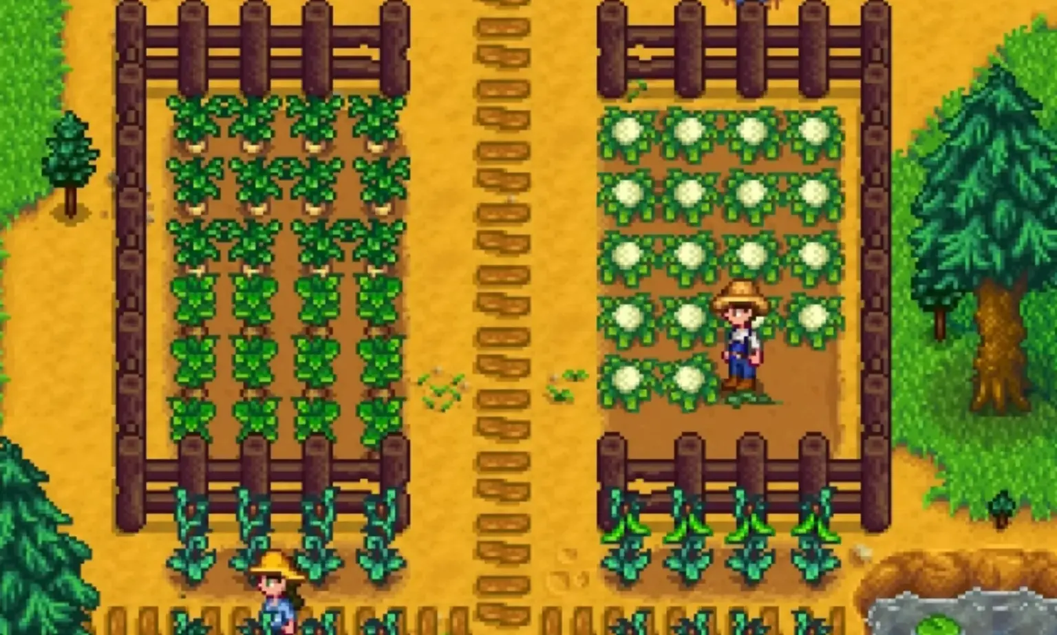 Transphobes are doxxing Stardew Valley fans after they asked the game developer for pronouns